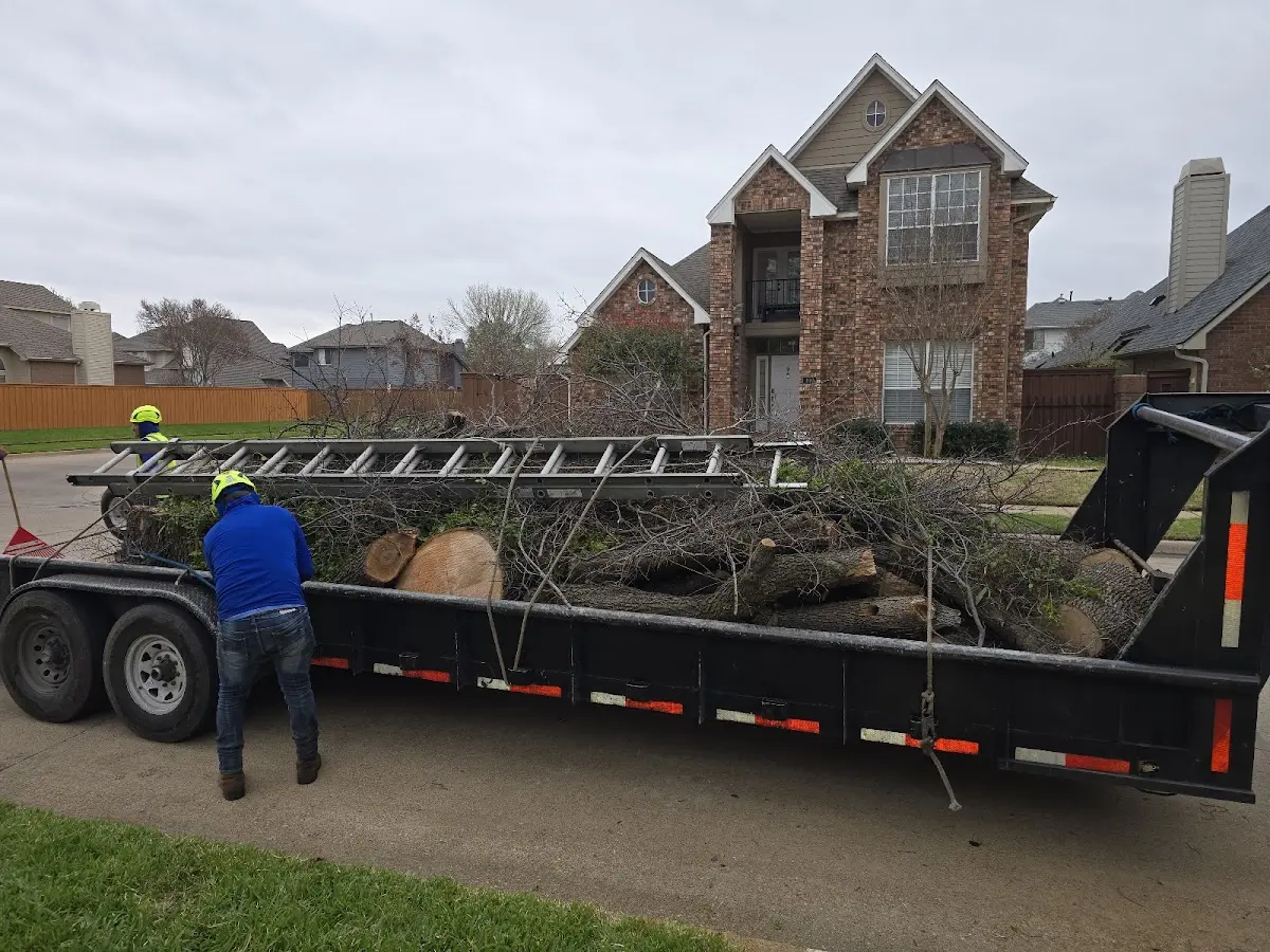 Expert Tree Fertilization with proper safety equipment in Leslie